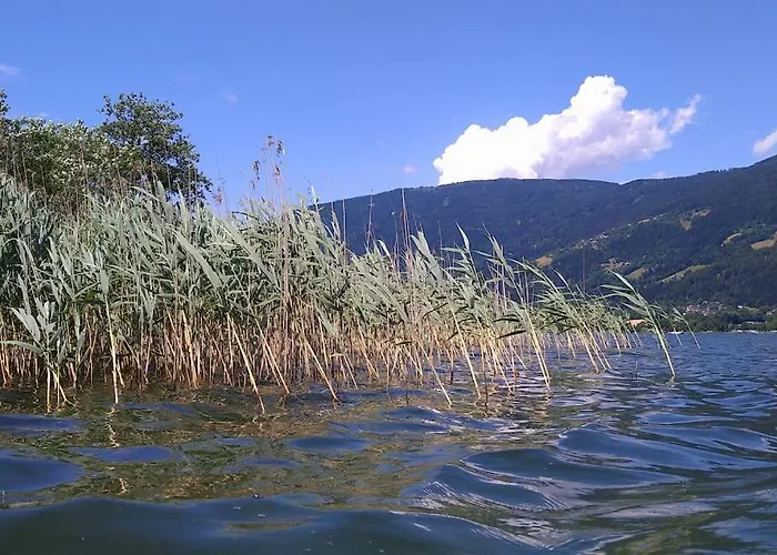 Geraeumige Mit Seezugang דירה *